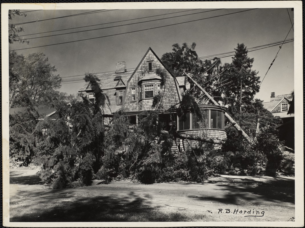 New England Hurricane, 1938. Hurricane damage