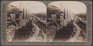 Herod's Street of Columns, the remains of "magnificent" Samaria, Palestine (looking east)