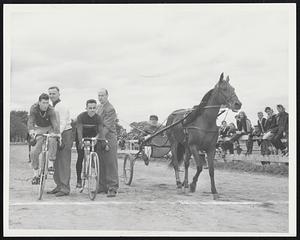 Bicycle Fair (Trotter versus bike)