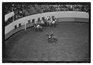 Gen. Needham polo