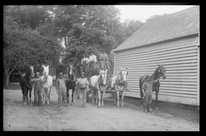 Men, horses, and water wagon