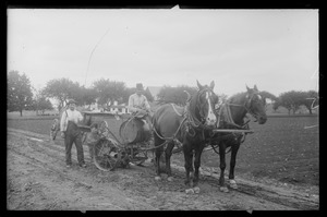 Farmers with tobacco setter