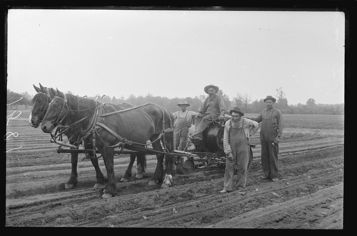 Farmers - West Hatfield - tobacco setter