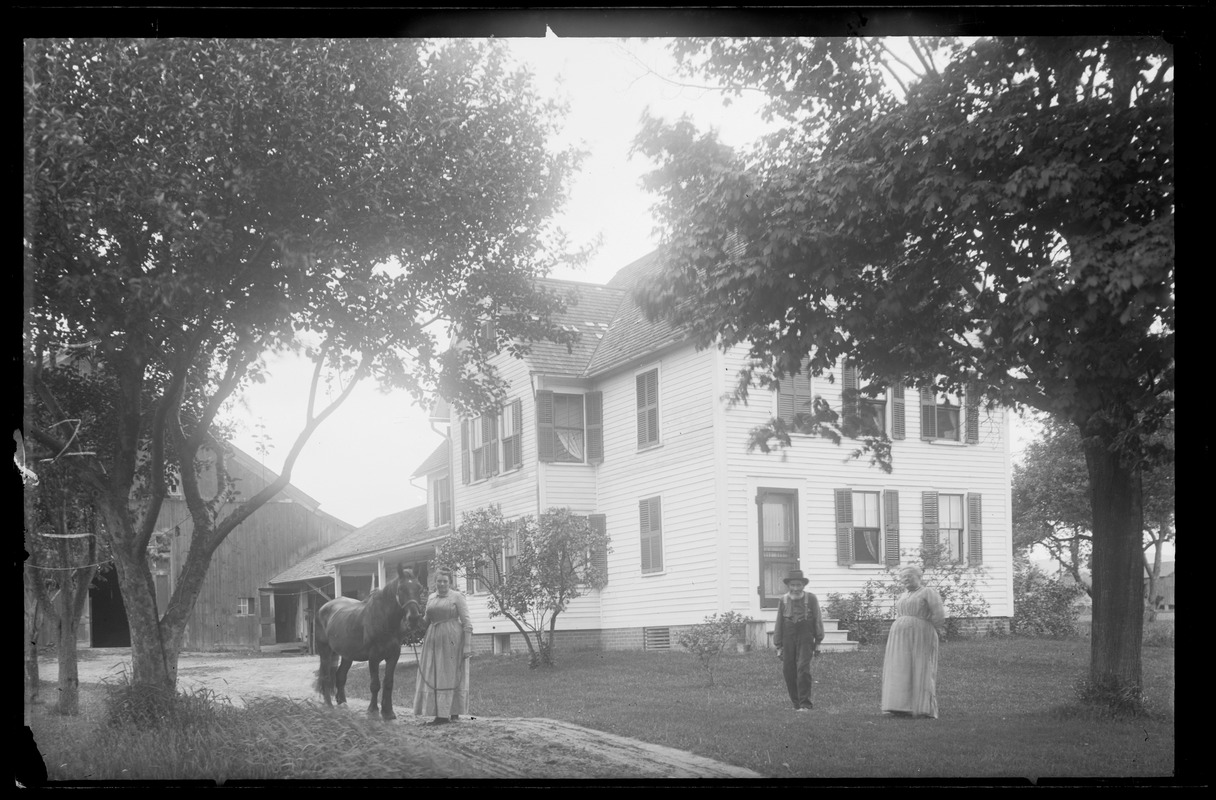 Elm Street? Digital Commonwealth