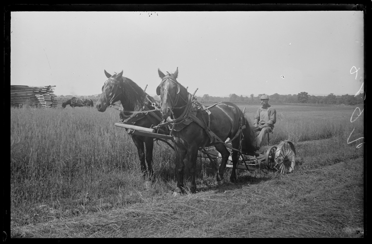 Elm Street Digital Commonwealth