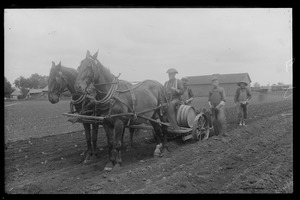 Planting tobacco - men and horse-drawn tobacco setter