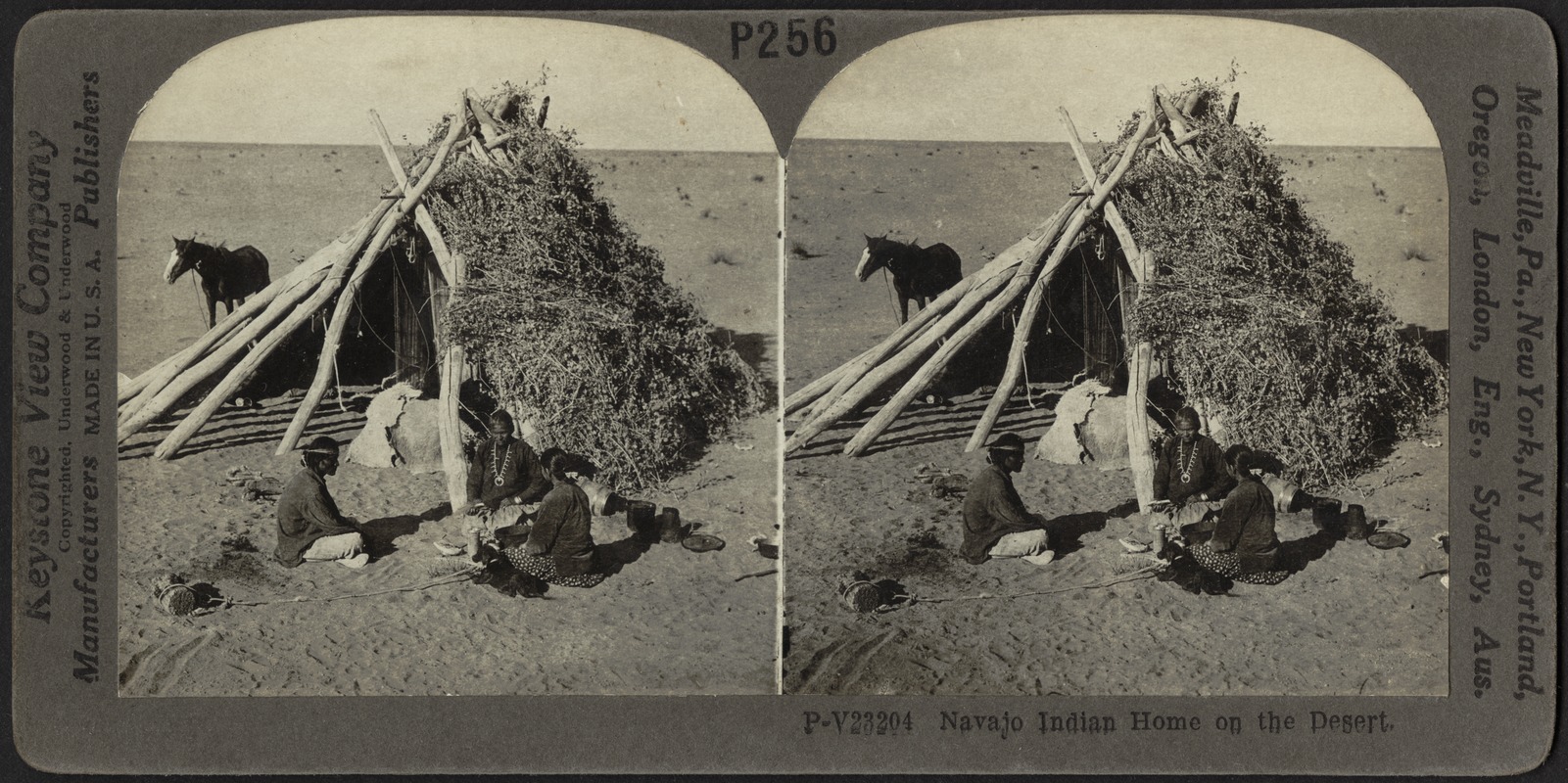 Navajo Indian home on the desert
