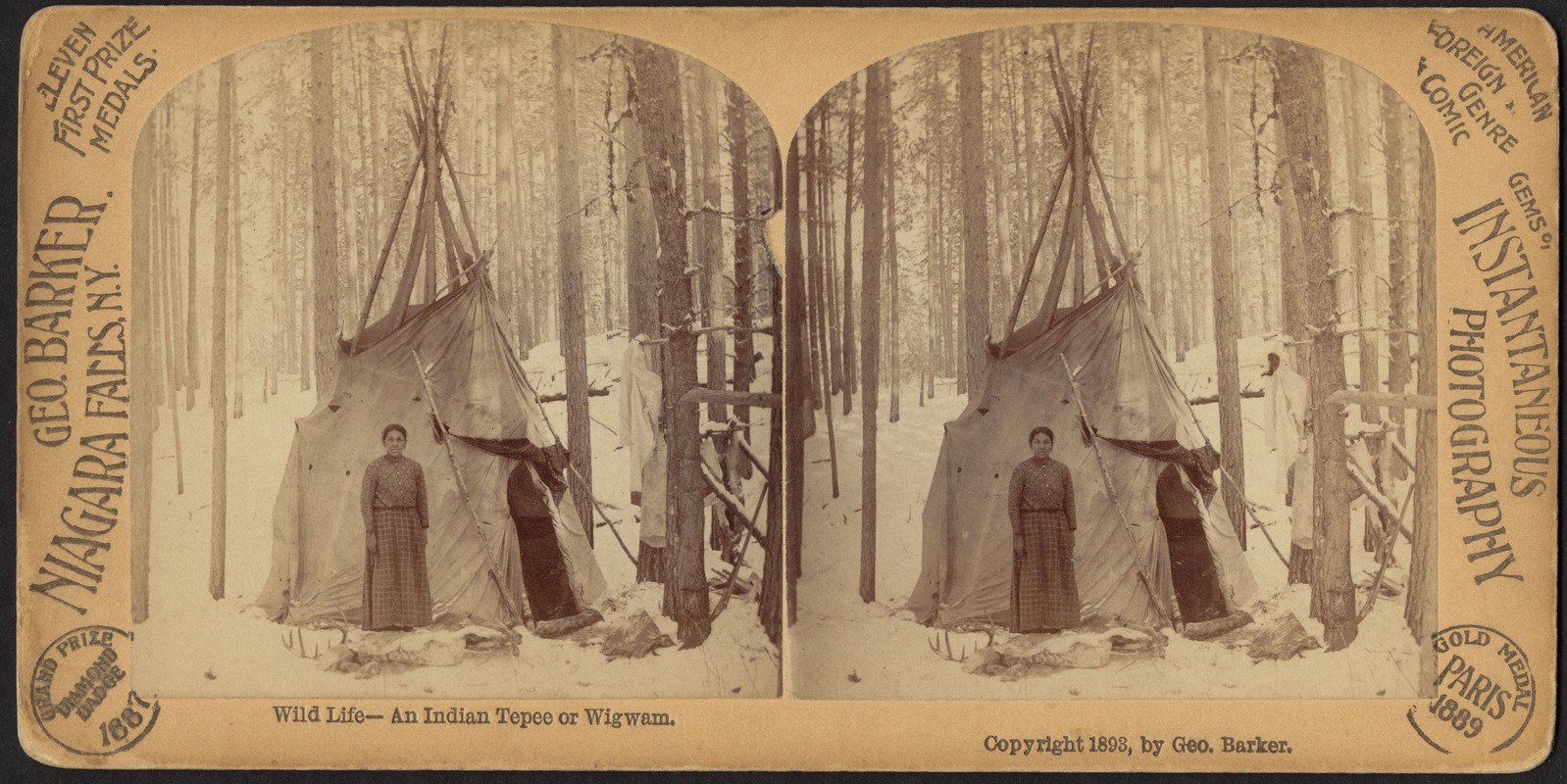 Wild life - an Indian tepee or wigwam