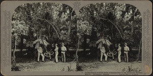 United States soldiers under a banyan tree in the botanical gardens, Manila, Philippine Islands