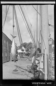 Marblehead, boatyards (vertical)