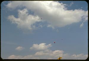 Kites