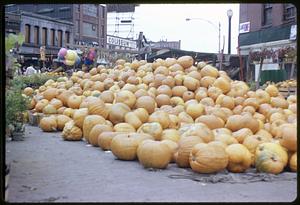 Pumpkins for sale outdoors on Dock Square