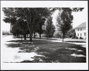 Bay Road -- Middle Street