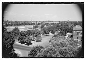 Black Forest and views from roof - Gertrude Sands