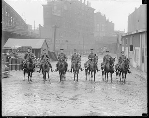 Mounted police from Station 16