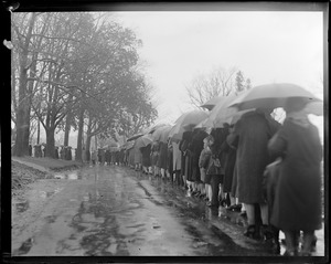 Holy Cross Cemetery: Thousands stand in pouring rain, waiting to be cured at Father Power grave - Malden.