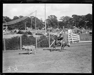 Rodeo