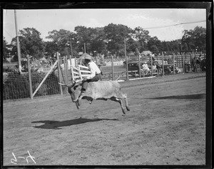Rodeo