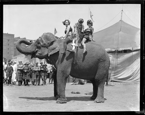 Clown and ladies riding a pachyderm when the circus comes to town