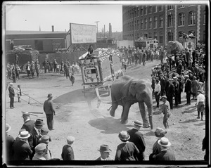Circus comes to town - elephants pulling cages