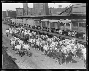 Circus train and horses arrive in Boston