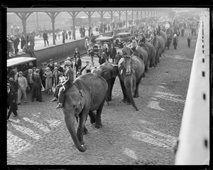 Elephants arrive at North Station when circus comes to town