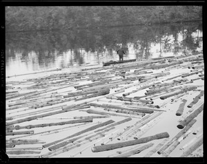 Logs on water, West Rutland, Massachusetts