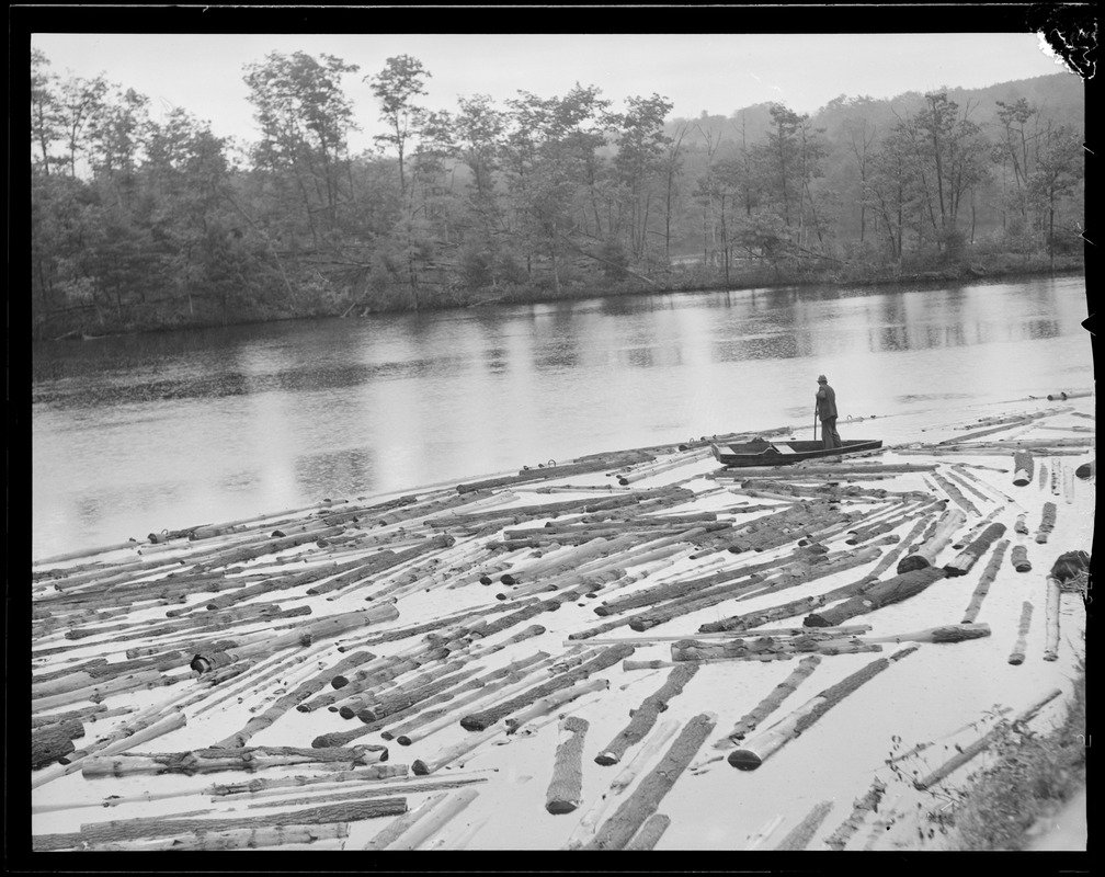 Logs on water, West Rutland, Massachusetts