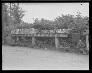 Row of letter boxes