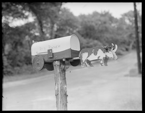 Letter boxes, unusual