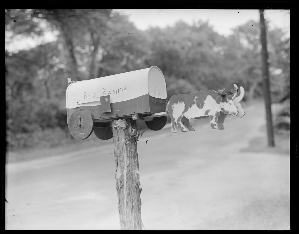 Letter boxes, unusual