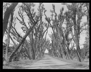 Unidentified location