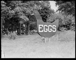Silent advertising, Pembroke, Massachusetts, hen - eggs