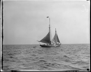 Schooner Liberty pilot boat, Boston Harbor