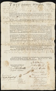 Ann Trainhorne [Trainhorn] indentured to apprentice with William W Stevens of Charlestown, 2 November 1790