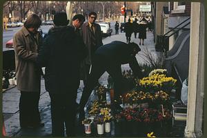 Flowers for sale - Boylston St. opposite Public Garden