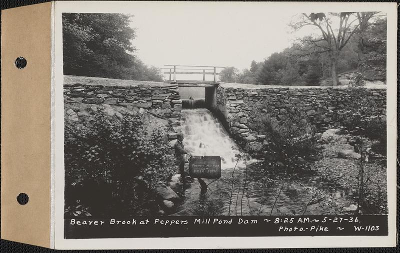 Beaver Brook at Pepper's mill pond dam, Ware, Mass., 825 AM, May 27
