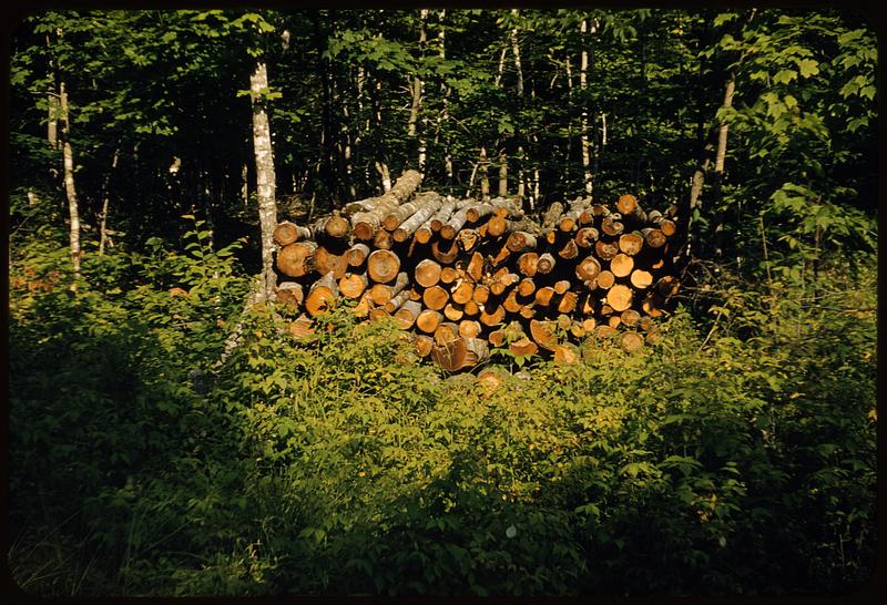 Wood pile, Maine