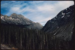 Trees in front of steep mountains, British Columbia