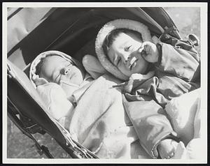 A Nap in Balmly Air was just the thing for Thomas, 5 months, and Elizabeth Azar, 17 months, at the Public Garden.