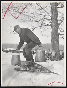 When Sap's running, Spring is not far away. Deep snow makes it difficult for farmers in New Hampshire and Vermont to remove the maple sap this season. So Richard Whitcomb of Springfield, Vt., gets around on snowshoes.