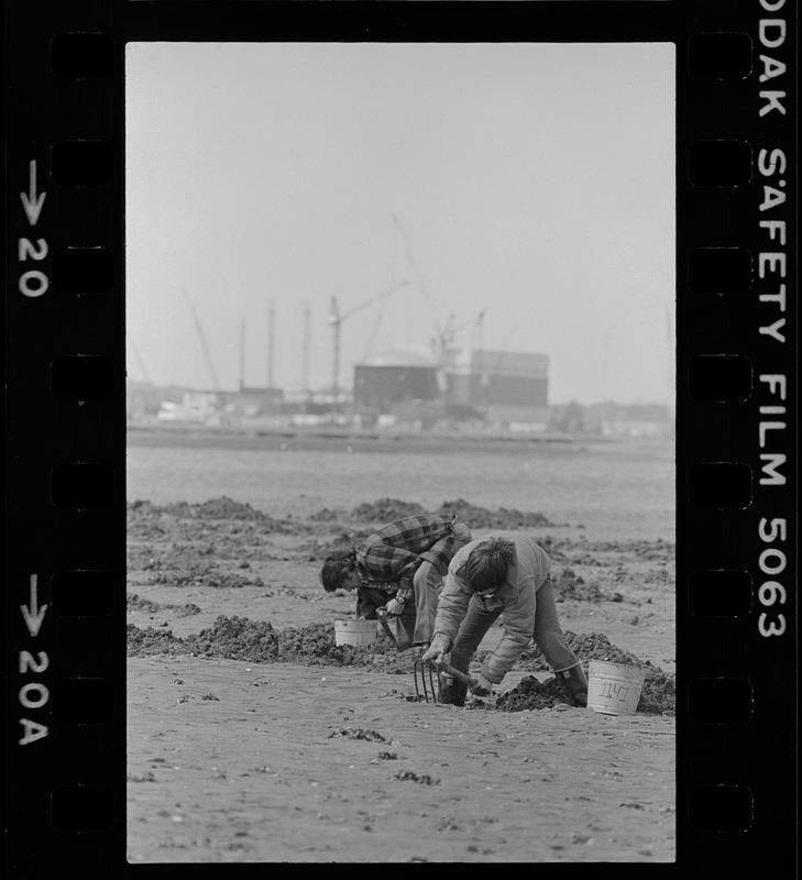 Seabrook clam diggers - Digital Commonwealth