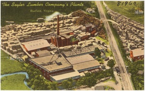 The Seyler Lumber Company's Plants, Bluefield, Virginia