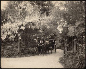 William D. Hunt estate, grounds with horse drawn carriage and driver