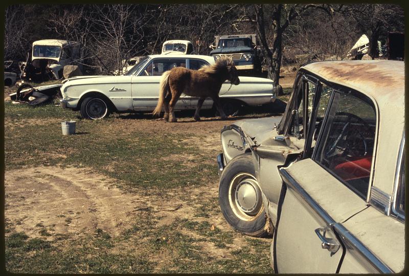 Auto junk yard, Marion, Mass.