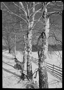 Outdoor scene, snow