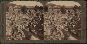 Olympia's desolated grandeur, N.E. over ground where the noblest Greek culture was developed