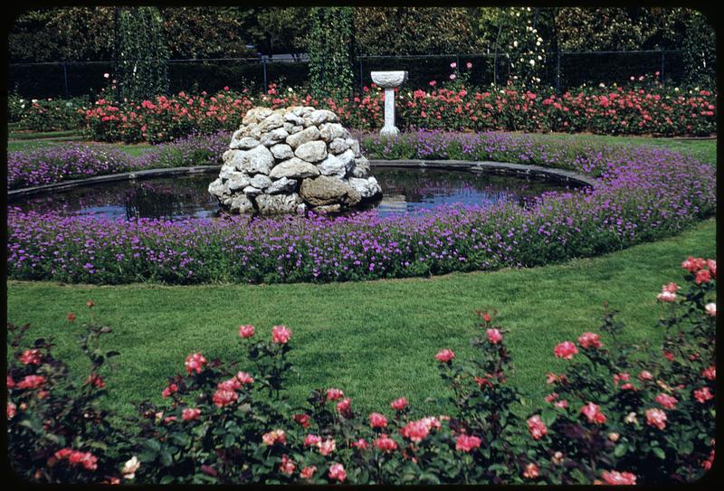 Rose garden, Muddy River