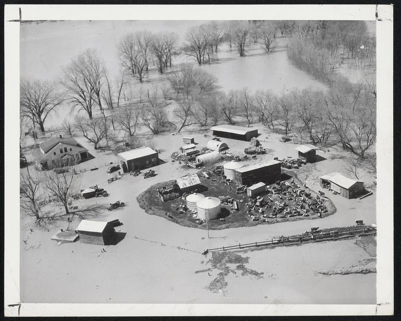 The Wide Missouri, its banks invisible under spreading flood waters, swelled to fantastic dimensions last April during the worst rampage in the river's history. Near Sioux City, Neb. (above) a farmer used a bulldozer to create a haven for his cattle and feed.