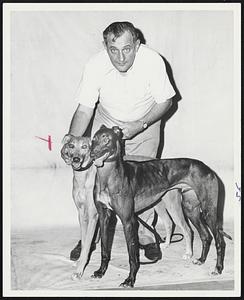 A man holds the leash of two dogs